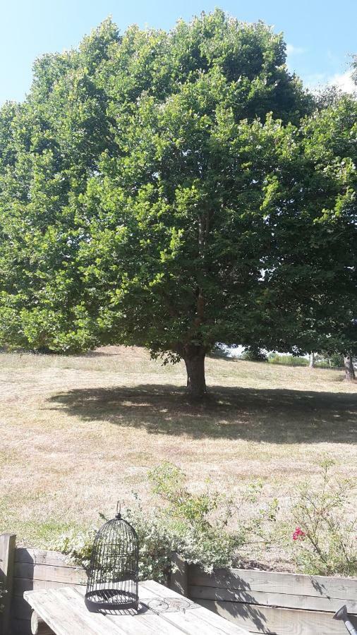 A La Campagne Andre De Chalencon